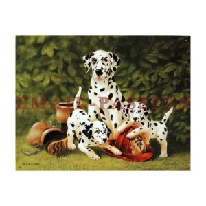 Plaque métal publicitaire 30x40cm plate : DALMATIENS