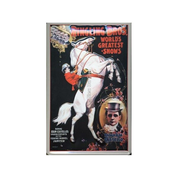 Plaque métal publicitaire 20x30cm bombée relief : Ringling bross world's great