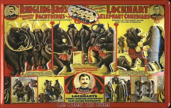 Plaque métal publicitaire 20x30 cm bombée en relief : Ringling Bros. – Image 2