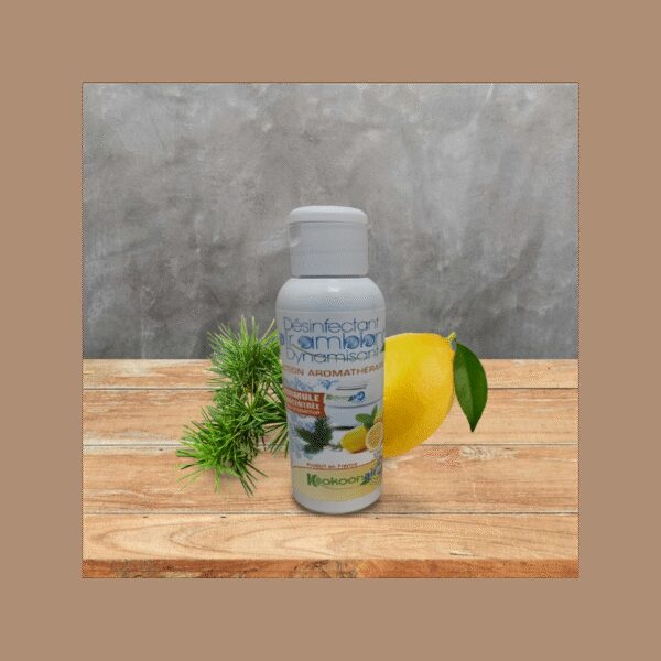 KIT COMPOSE D'UN PURIFICATEUR D'AIR BISE 30M2 ET D'UN DESINFECTANT DYNAMISANT CONCENTRE 125ML – Image 5