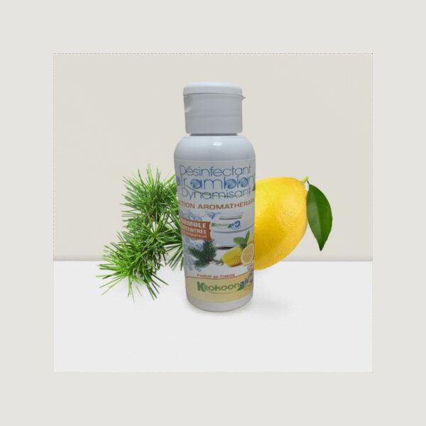 KIT COMPOSE D'UN PURIFICATEUR D'AIR MISTRAL 200M2 ET D'UN DESINFECTANT DYNAMISANT CONCENTRE 125ML – Image 4