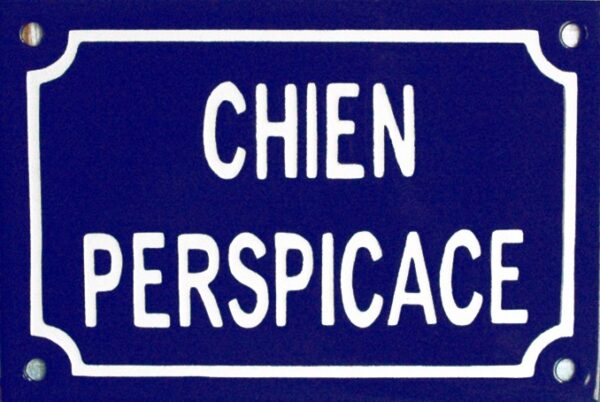 Plaque humoristique émaillée 10x15cm faite au pochoir : CHIEN PERSPICACE. – Image 2