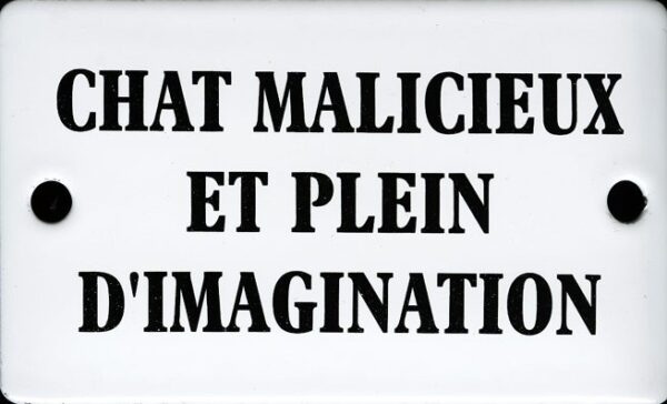 Plaque humoristique émaillée bombée de 6x10 cm CHAT MALICIEUX ET PLEIN D'IMAGINATION – Image 2