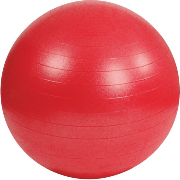 Ballon fitness Gym Ball Mambo - 65 cm