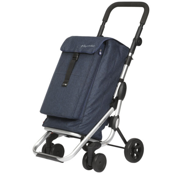 Chariot de loisir Go Up - Gris/noir