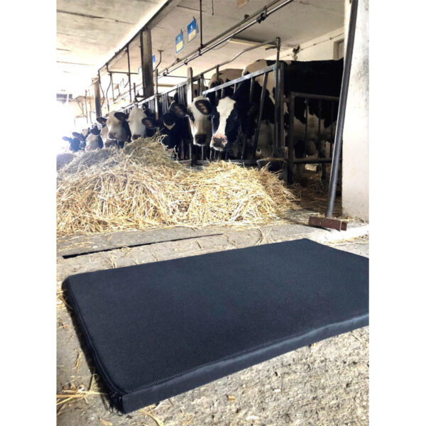 Tapis de désinfection SANIMAT 100x120x3cm – Image 4