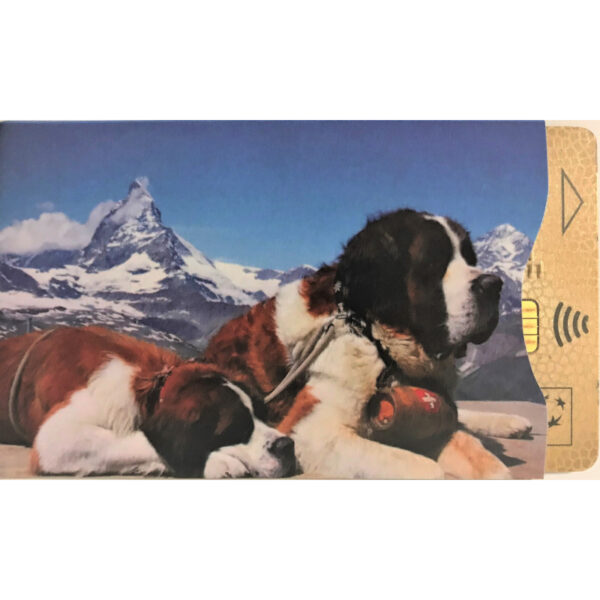 Protège-CB Montagne St Bernard