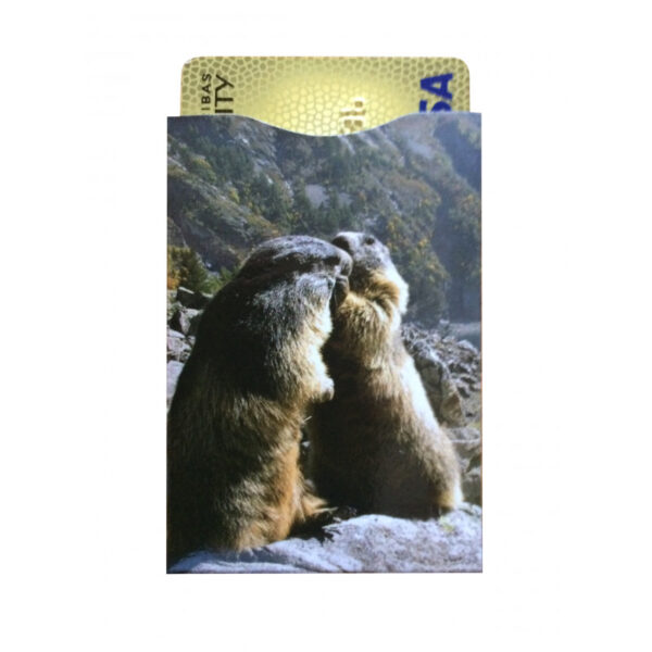 Présentoir de 40 Protège CB Barrière RFID Visuels Montagne – Image 3