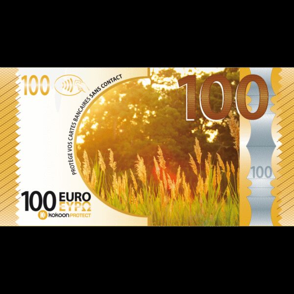 Billet Barrière RFID Kokoon Banknote Visuel Tournesol – Image 2