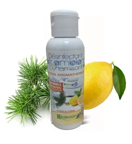 DEPOLLUANT CONCENTRE SPECIAL DYNAMISANT REVITALISANT 125ML