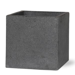 Block Laterite Grey en pot. Plante verte type Block Laterite Grey, livrée en pot, idéale pour intérieur lumineux.
