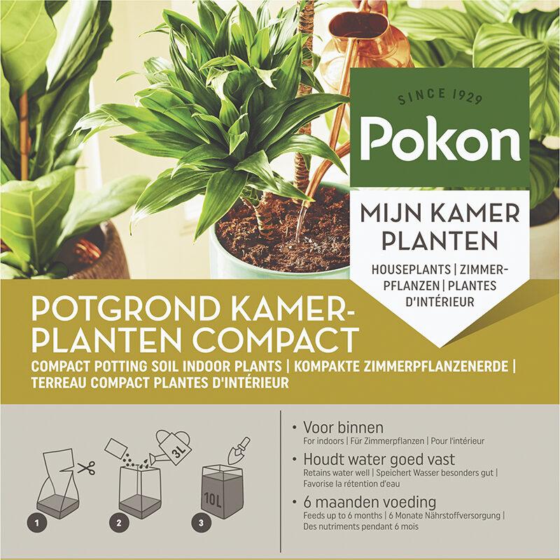 Kokos Potgrond Kamerplanten Compact en pot. Plante verte type Kokos Potgrond Kamerplanten Compact, livrée en pot, idéale pour intérieur lumineux.