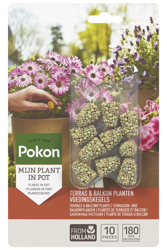Terras&Balkon Planten Voedingskegels en pot. Plante verte type Terras&Balkon Planten Voedingskegels, livrée en pot, idéale pour intérieur lumineux.