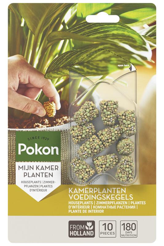 Kamerplanten Voedingskegels en pot. Plante verte type Kamerplanten Voedingskegels, livrée en pot, idéale pour intérieur lumineux.