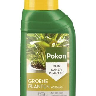 Groene Planten Voeding 250ML en pot. Plante verte type Groene Planten Voeding 250ML, livrée en pot, idéale pour intérieur lumineux.