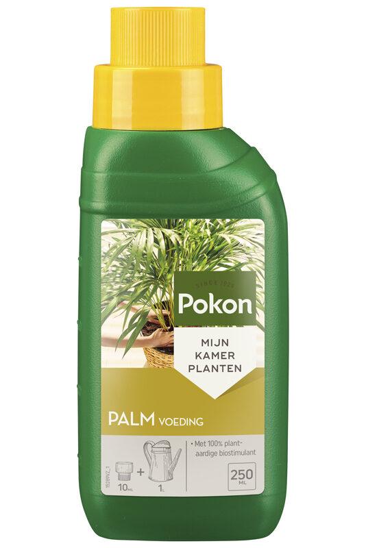 Palmen Plant Voeding 250ML en pot. Plante verte type Palmen Plant Voeding 250ML, livrée en pot, idéale pour intérieur lumineux.