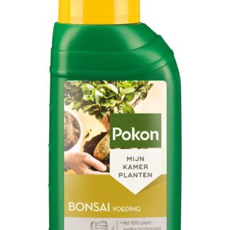 Bonsai Plant Voeding 250ML en pot. Plante verte type Bonsai Plant Voeding 250ML, livrée en pot, idéale pour intérieur lumineux.