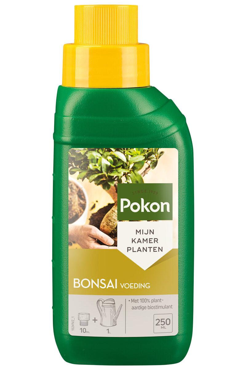 Bonsai Plant Voeding 250ML en pot. Plante verte type Bonsai Plant Voeding 250ML, livrée en pot, idéale pour intérieur lumineux.