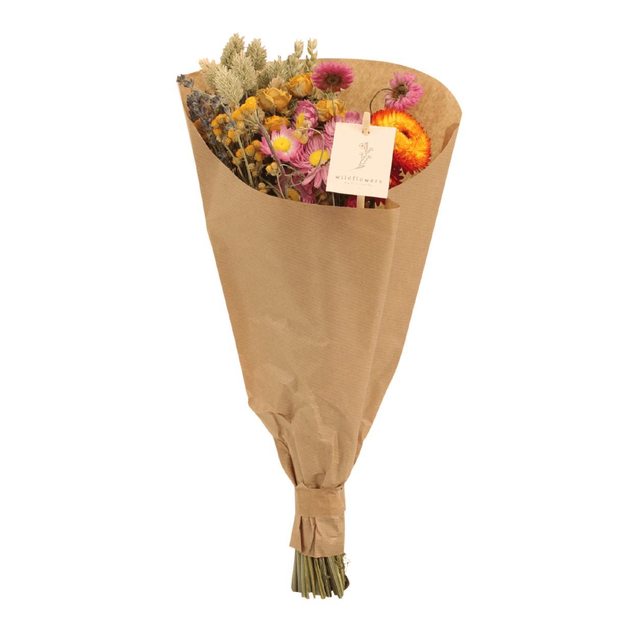 6xField Bouquet Multi en pot Ø25cm. Plante verte type 6xField Bouquet Multi, livrée en pot, idéale pour intérieur lumineux.