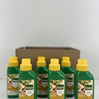 Pokon Bonsai voeding 250ML 6X en pot. Plante verte type Pokon Bonsai voeding 250ML 6X, livrée en pot, idéale pour intérieur lumineux.