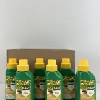 6x Groene Planten voeding 250ML en pot. Plante verte type 6x Groene Planten voeding 250ML, livrée en pot, idéale pour intérieur lumineux.