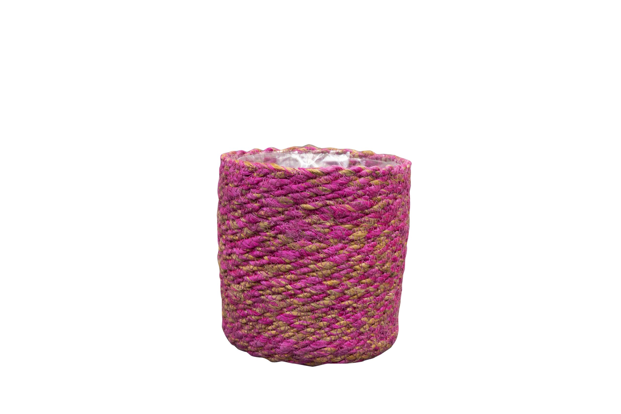Mand Malin Roze en pot  Hauteur 18cm. Plante verte type Mand Malin Roze, livrée en pot, idéale pour intérieur lumineux.