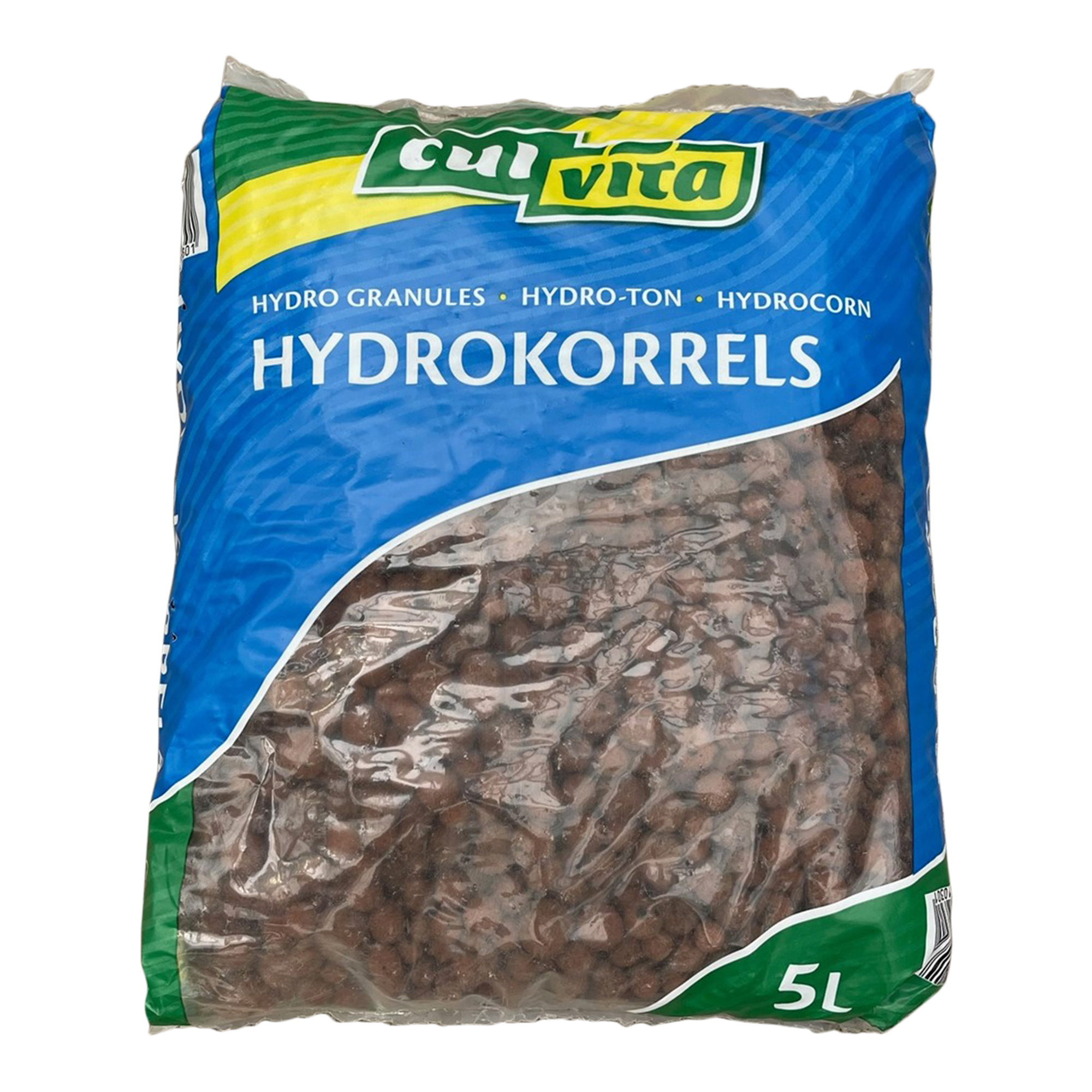 Hydrokorrels 8 en pot. Plante verte type Hydrokorrels 8, livrée en pot, idéale pour intérieur lumineux.