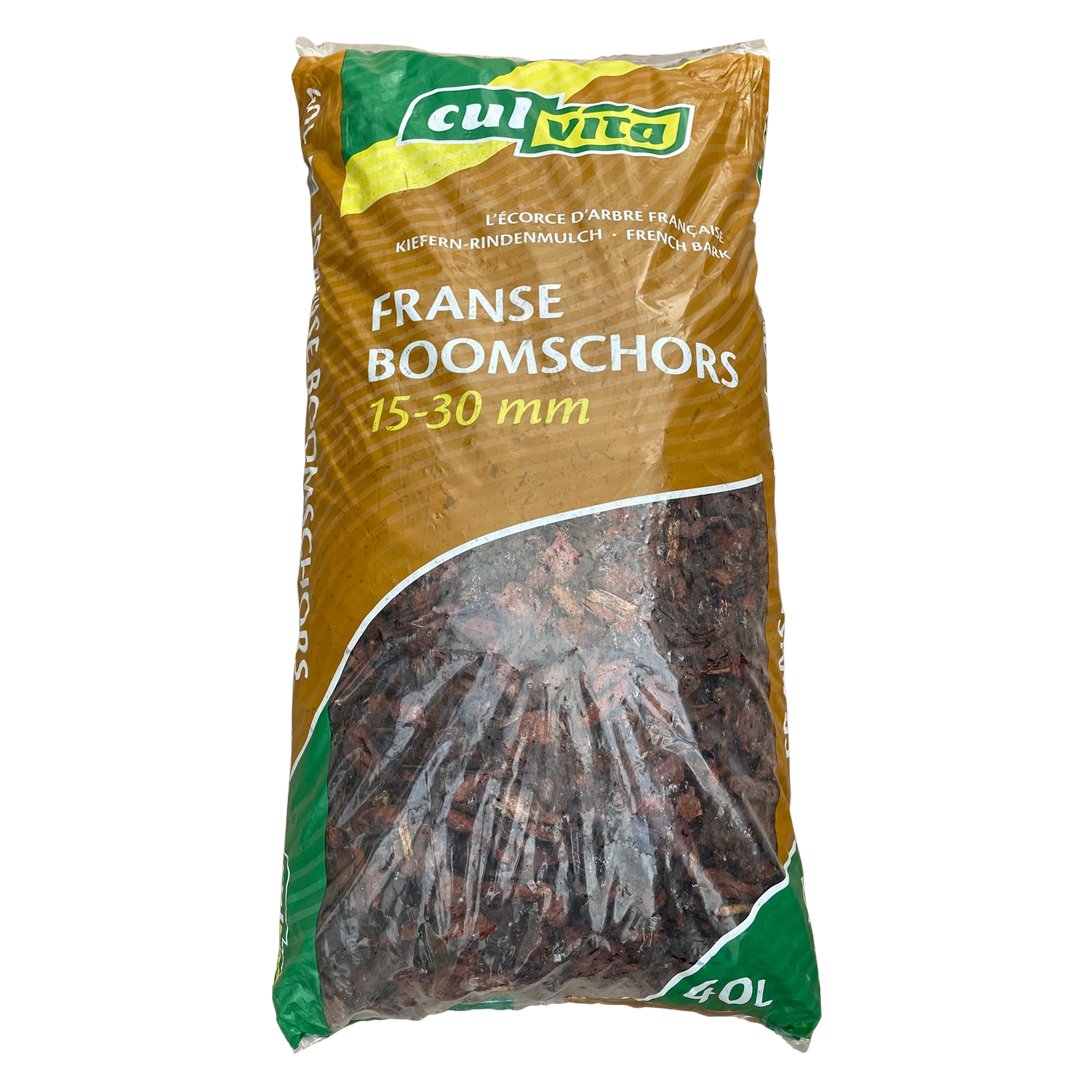 Franse Boomschors 15 en pot. Plante verte type Franse Boomschors 15, livrée en pot, idéale pour intérieur lumineux.