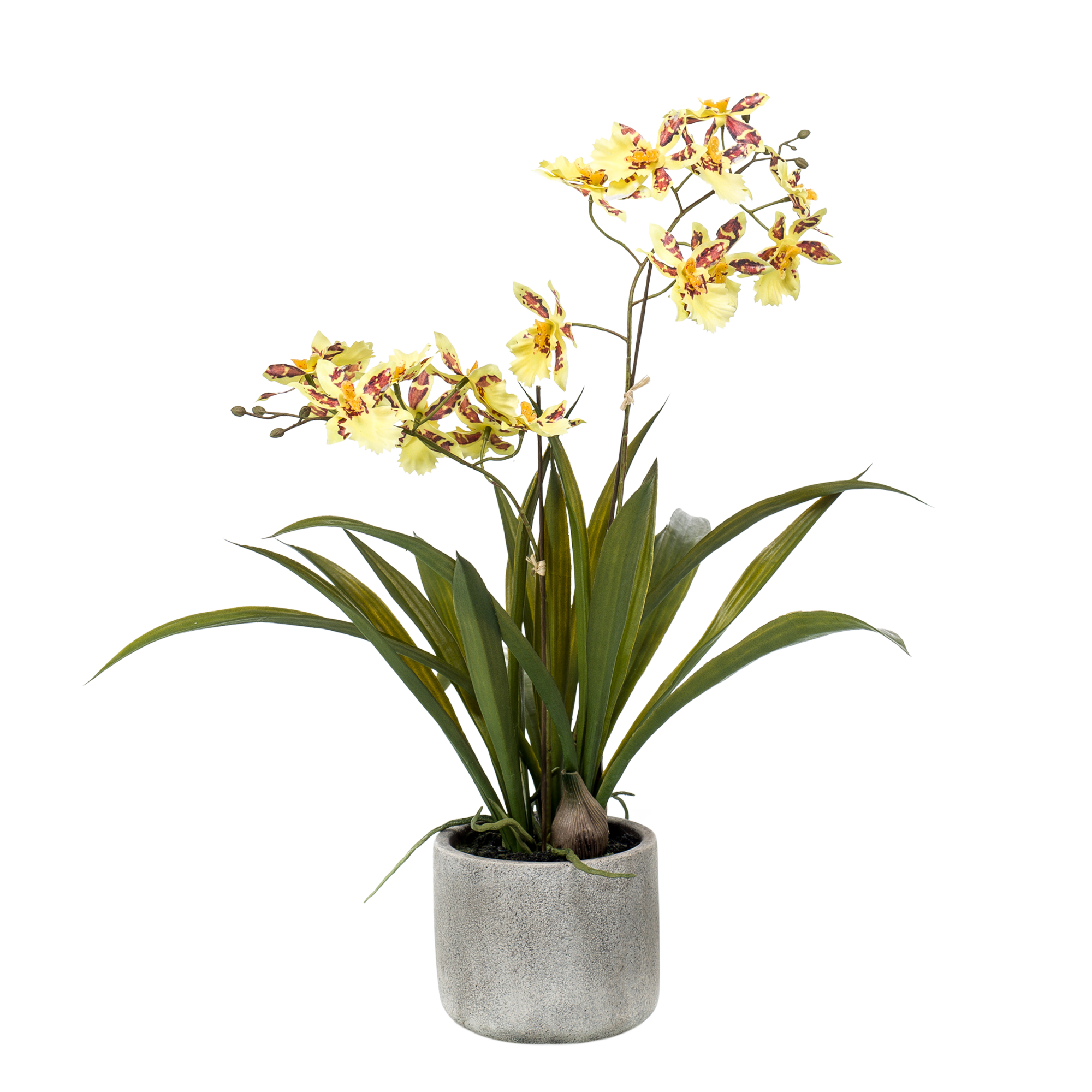 Kunstplant en pot. Plante verte type Kunstplant, livrée en pot, idéale pour intérieur lumineux. – Image 3