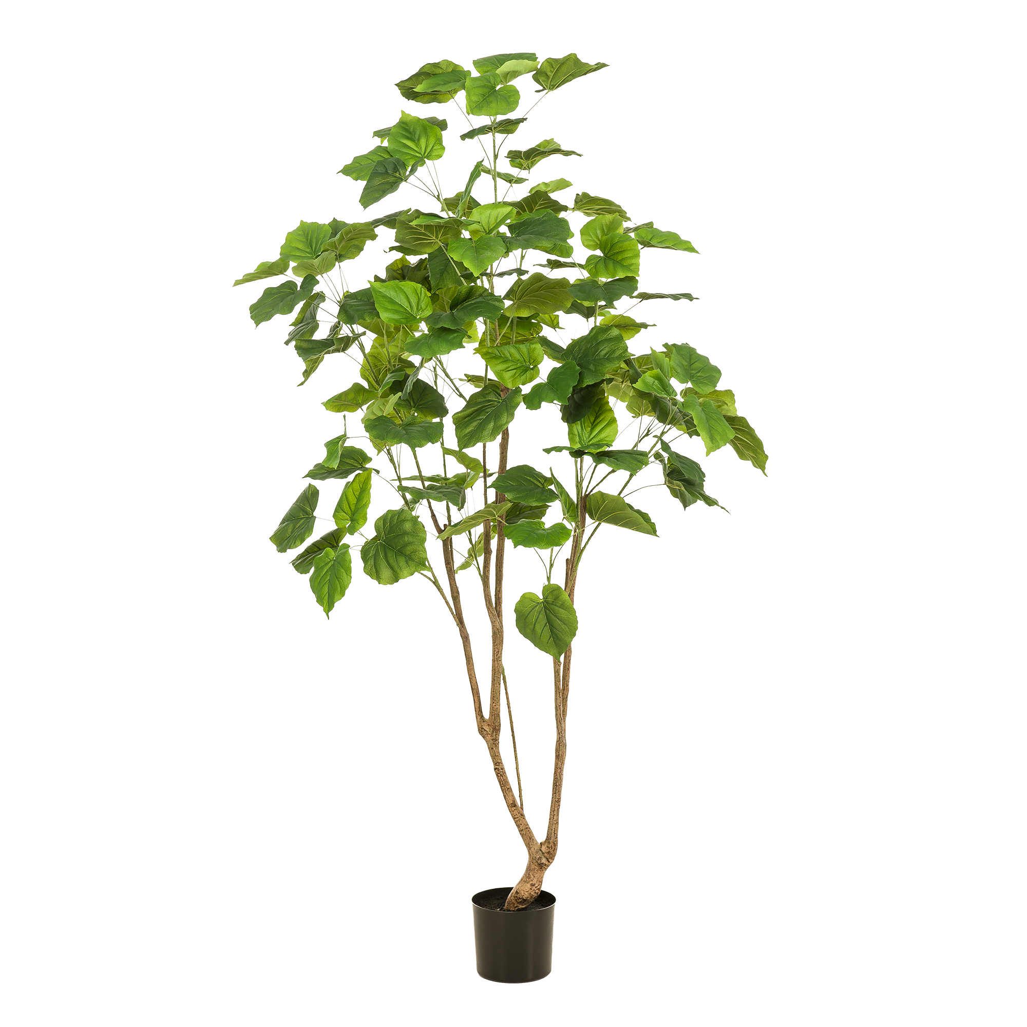 Kunstplant en pot. Plante verte type Kunstplant, livrée en pot, idéale pour intérieur lumineux. – Image 5