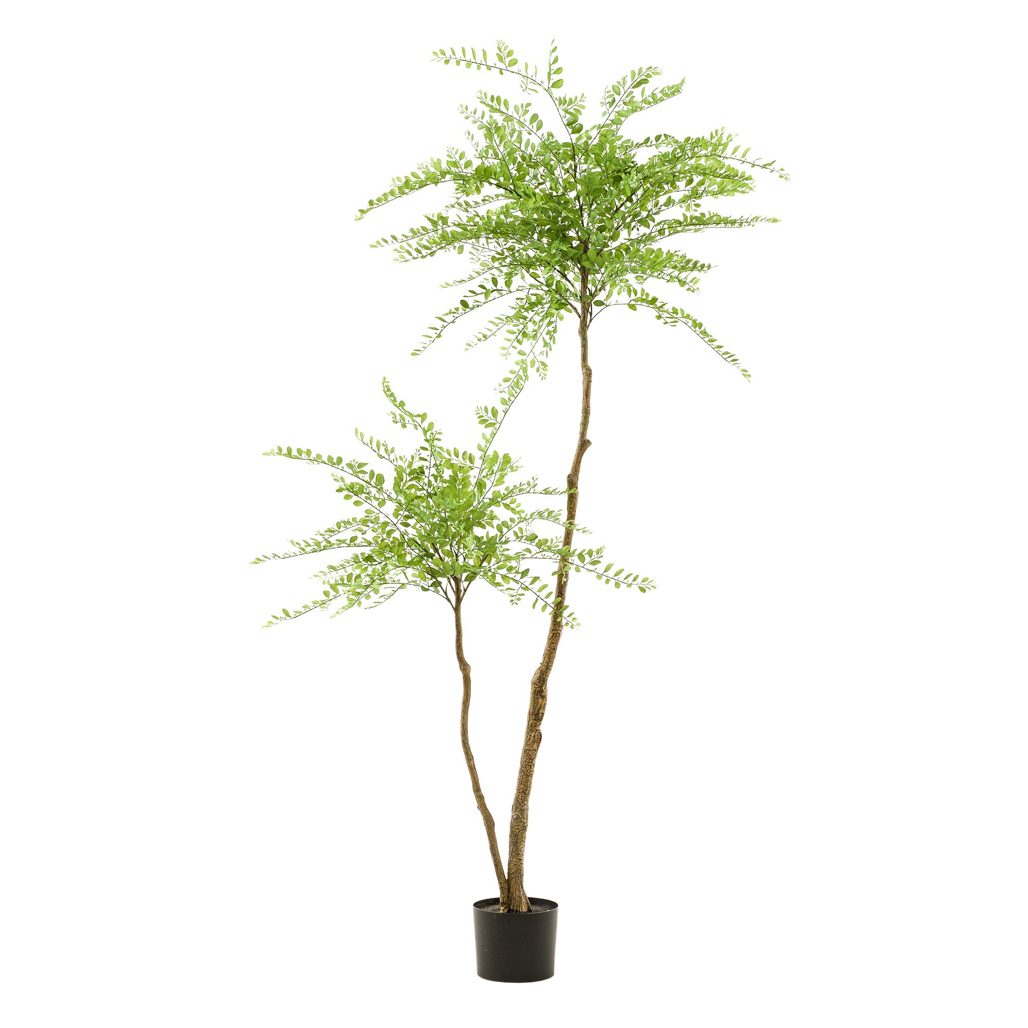 kunstplant en pot. Plante verte type kunstplant, livrée en pot, idéale pour intérieur lumineux. – Image 6