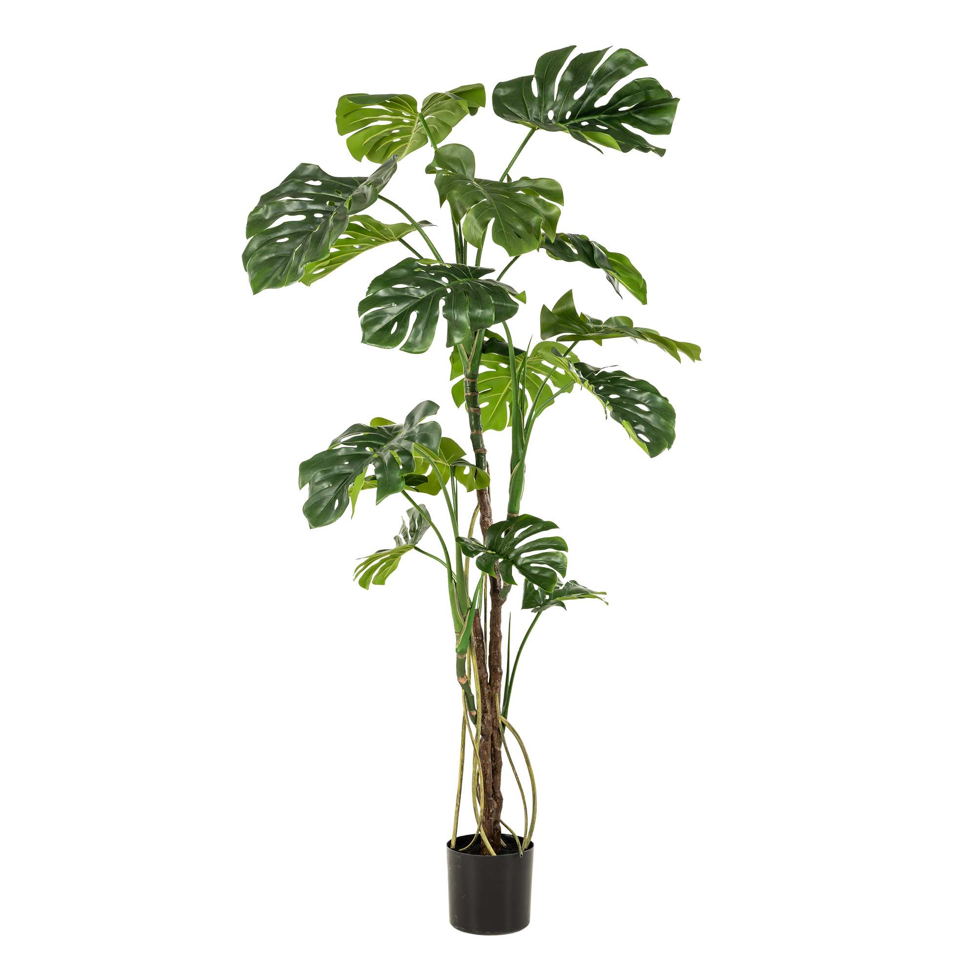 kunstplant en pot. Plante verte type kunstplant, livrée en pot, idéale pour intérieur lumineux. – Image 6