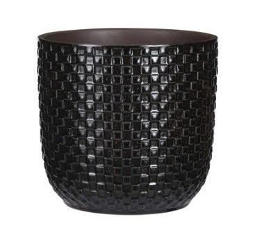 Pot relief zwart D13,5 en pot. Plante verte type Pot relief zwart D13,5, livrée en pot, idéale pour intérieur lumineux.