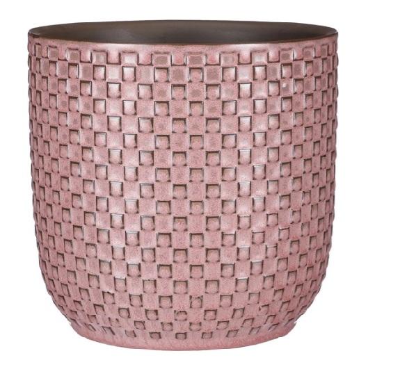 Pot relief roze D13,5 en pot. Plante verte type Pot relief roze D13,5, livrée en pot, idéale pour intérieur lumineux.