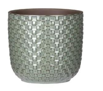 Mini pot relief groen D7 en pot. Plante verte type Mini pot relief groen D7, livrée en pot, idéale pour intérieur lumineux.