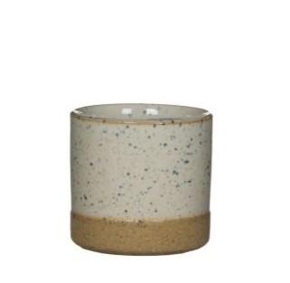 Pot Lago rond wit D7 en pot. Plante verte type Pot Lago rond wit D7, livrée en pot, idéale pour intérieur lumineux.