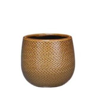 Pot Gabriel rond oker D14 en pot. Plante verte type Pot Gabriel rond oker D14, livrée en pot, idéale pour intérieur lumineux.