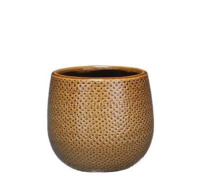 Pot Gabriel rond oker D14 en pot. Plante verte type Pot Gabriel rond oker D14, livrée en pot, idéale pour intérieur lumineux.