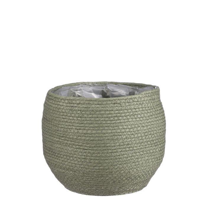 Mand Jorck groen D26 en pot. Plante verte type Mand Jorck groen D26, livrée en pot, idéale pour intérieur lumineux.