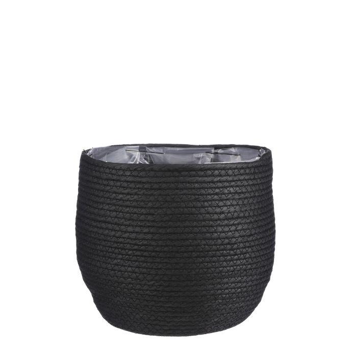 Mand Jorck zwart D26 en pot. Plante verte type Mand Jorck zwart D26, livrée en pot, idéale pour intérieur lumineux.