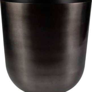 Pot Mayk Lead en pot. Plante verte type Pot Mayk Lead, livrée en pot, idéale pour intérieur lumineux.