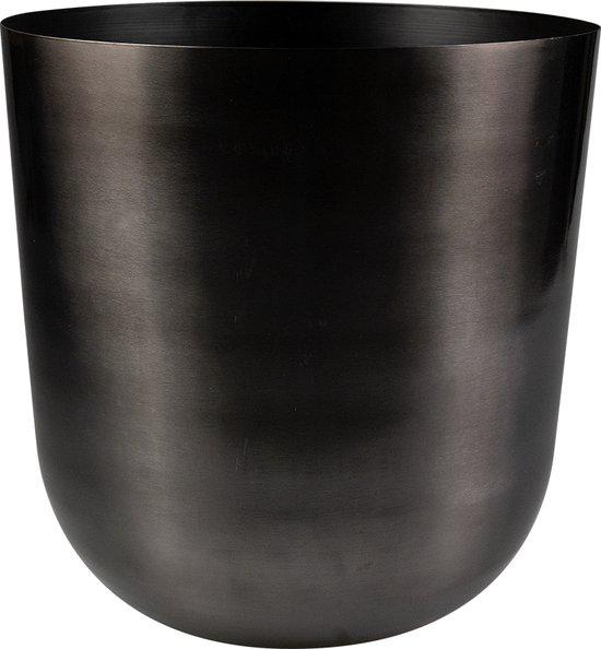 Pot Mayk Lead en pot. Plante verte type Pot Mayk Lead, livrée en pot, idéale pour intérieur lumineux.