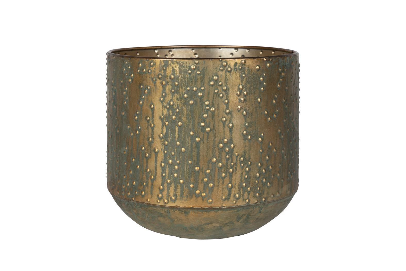 Pot Lian Koper Groen en pot. Plante verte type Pot Lian Koper Groen, livrée en pot, idéale pour intérieur lumineux.