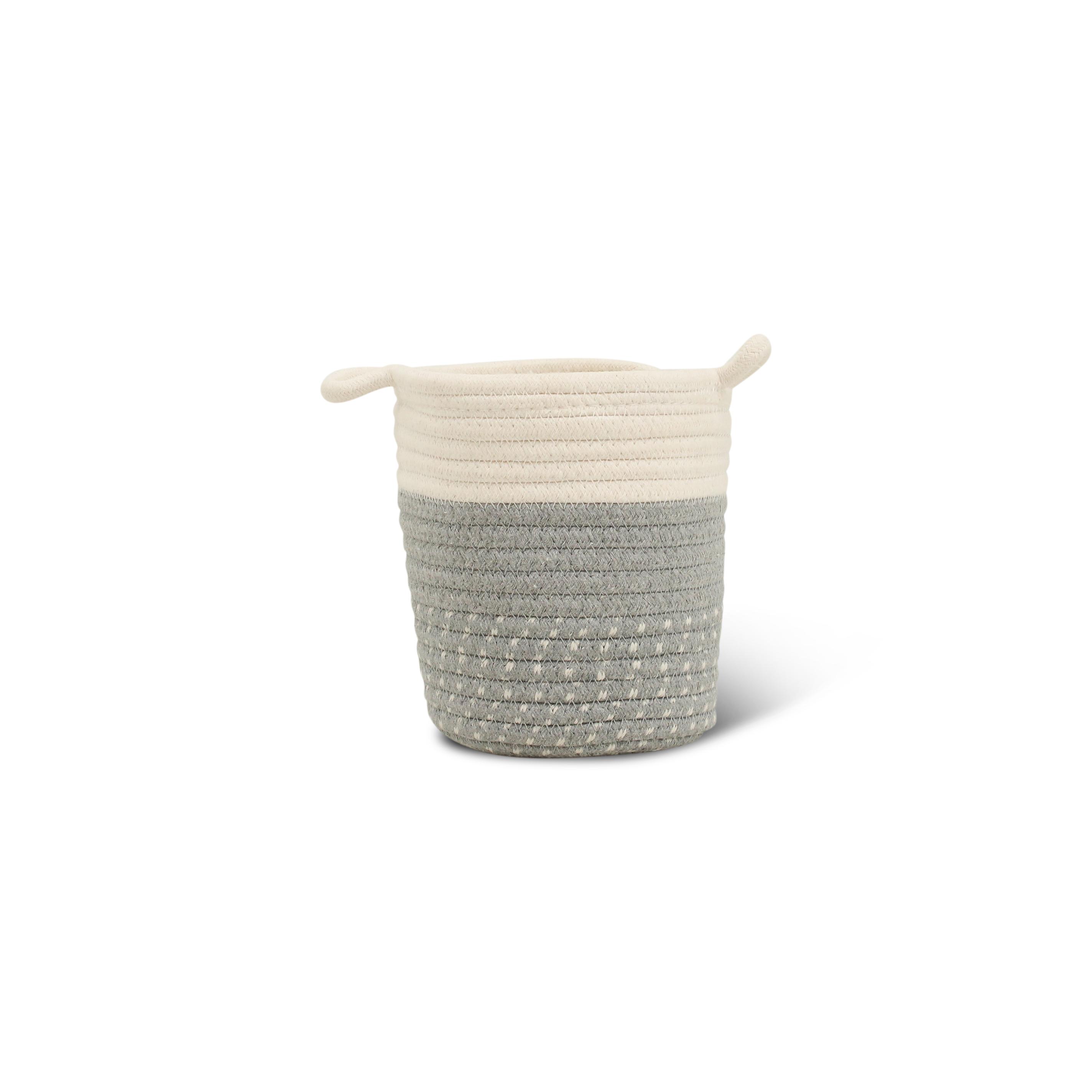 Mand Borneo Grijs en pot. Plante verte type Mand Borneo Grijs, livrée en pot, idéale pour intérieur lumineux.