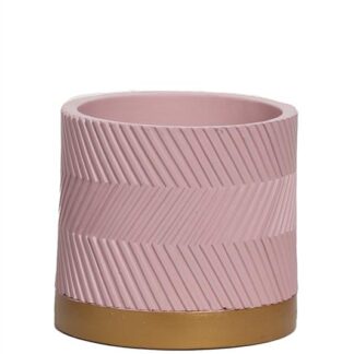 Pot Groovy Pink Matte D13 en pot. Plante verte type Pot Groovy Pink Matte D13, livrée en pot, idéale pour intérieur lumineux.