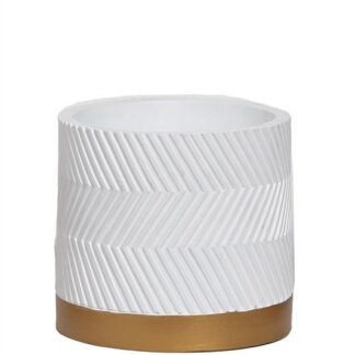 Pot Groovy White Matte D13 en pot. Plante verte type Pot Groovy White Matte D13, livrée en pot, idéale pour intérieur lumineux.