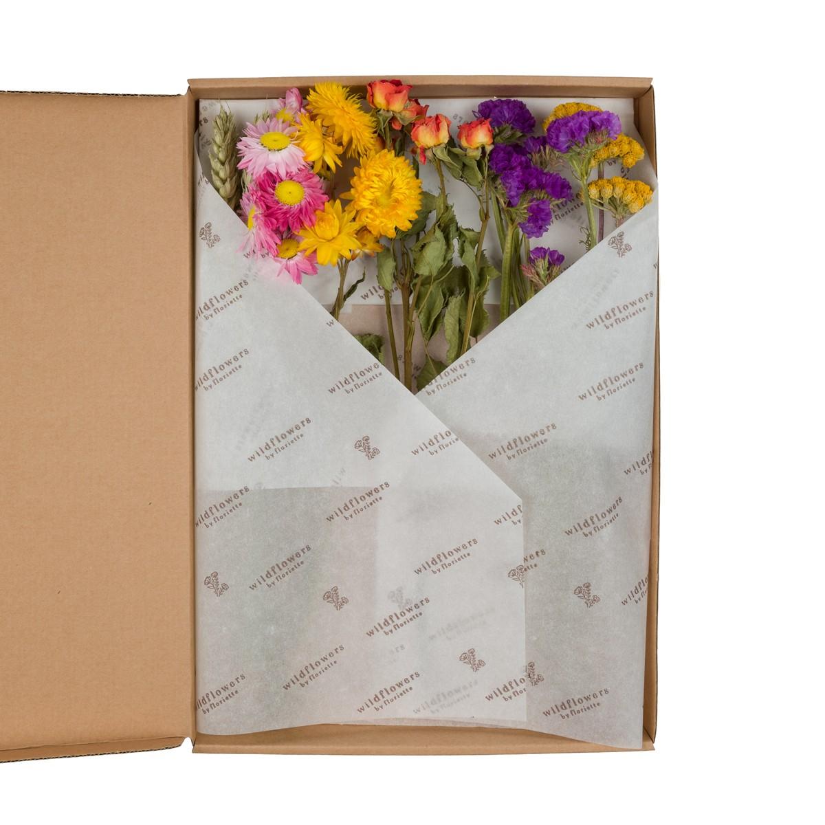 Droogbloemen en pot  Hauteur 30cm. Plante verte type Droogbloemen, livrée en pot, idéale pour intérieur lumineux.