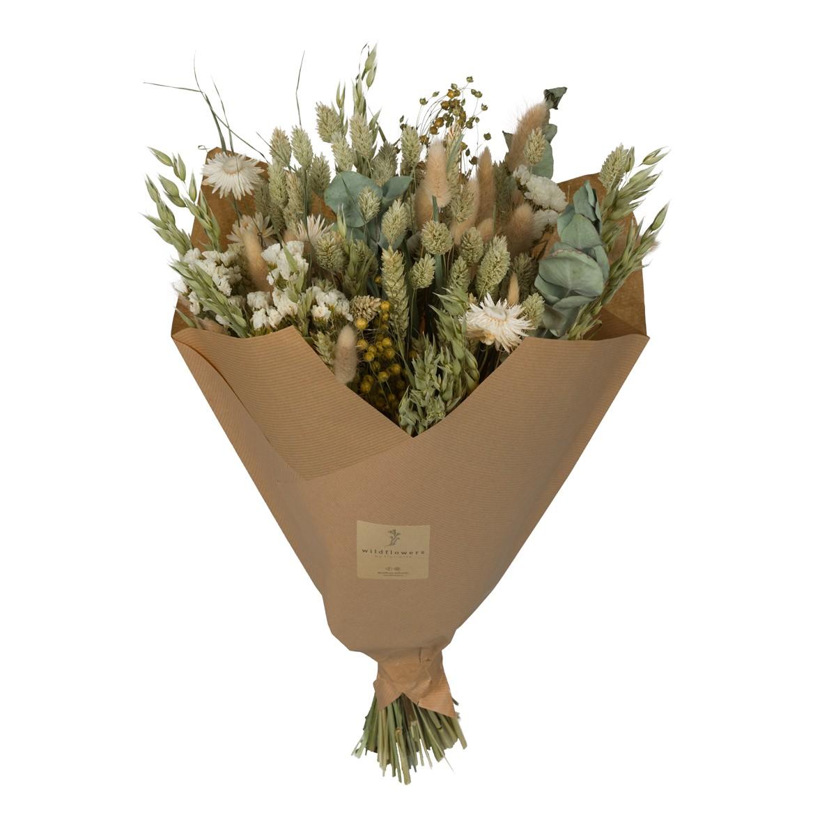 Droogbloemen en pot  Hauteur 60cm. Plante verte type Droogbloemen, livrée en pot, idéale pour intérieur lumineux.