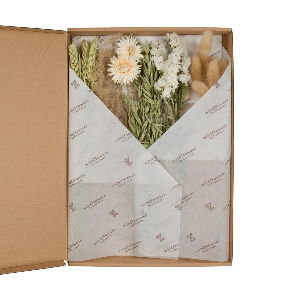 Droogbloemen en pot  Hauteur 30cm. Plante verte type Droogbloemen, livrée en pot, idéale pour intérieur lumineux.