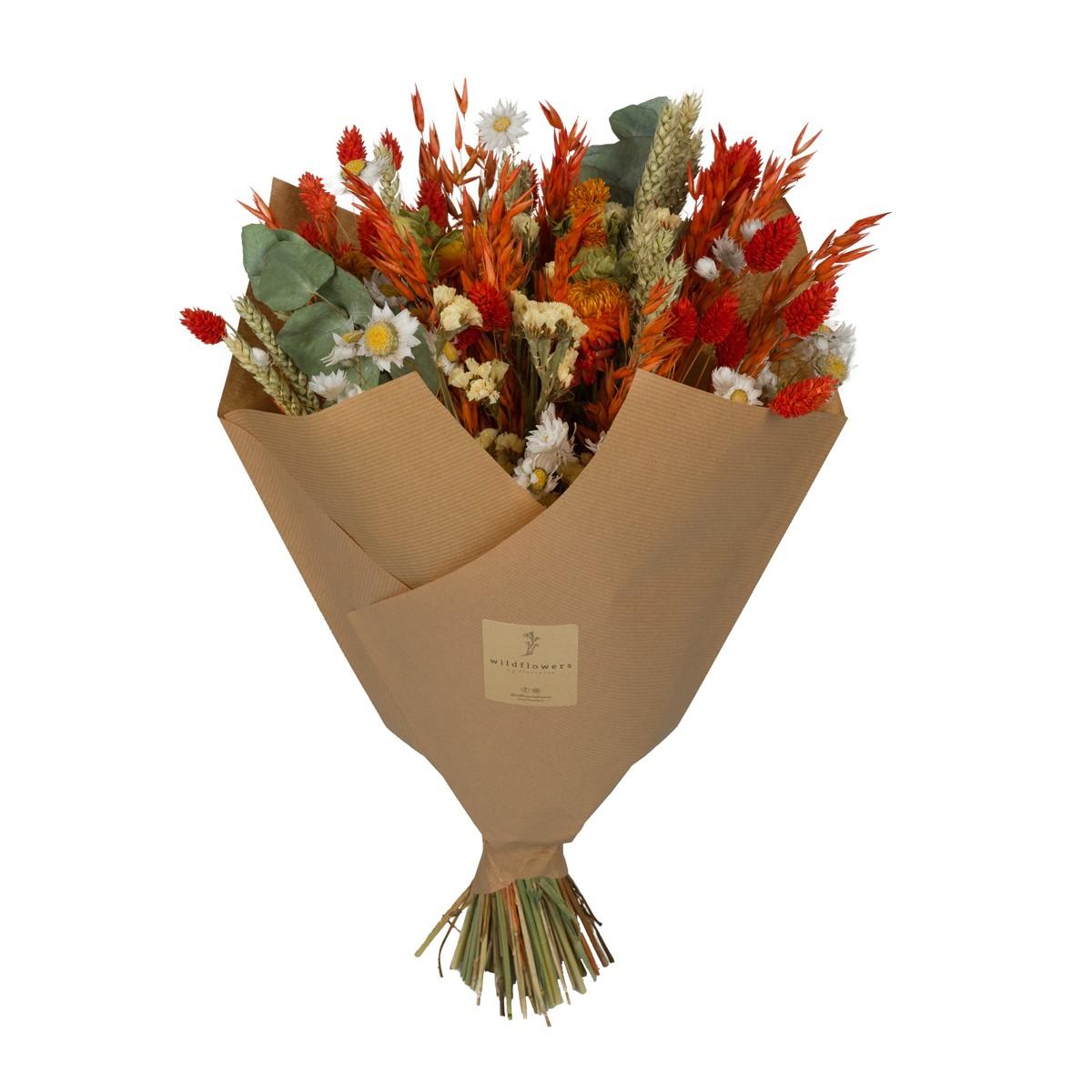 Droogbloemen en pot  Hauteur 60cm. Plante verte type Droogbloemen, livrée en pot, idéale pour intérieur lumineux.